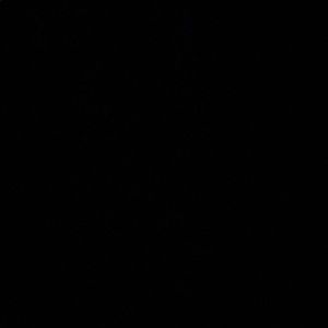 Meet your Posher, Donald